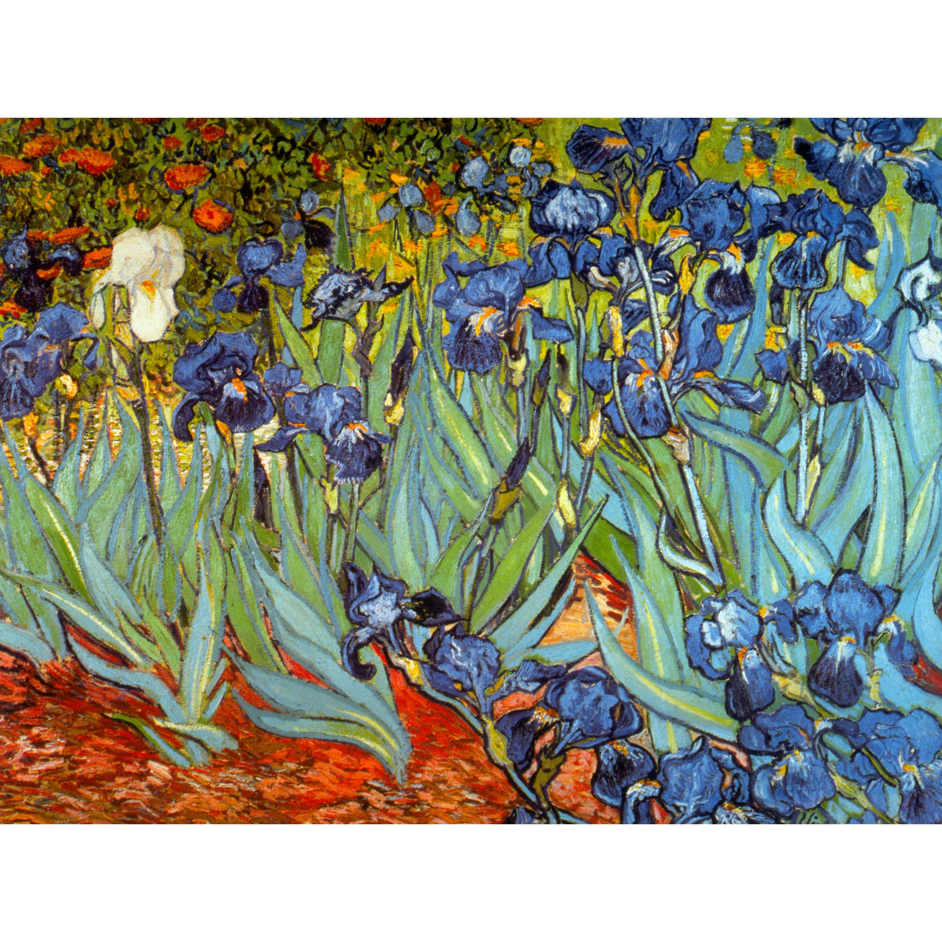 Buy Irises by Van Gogh Wall Art Online (CAN-ART-VANG4) | Satisfaction